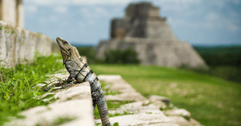 zonas arqueologicas mexico