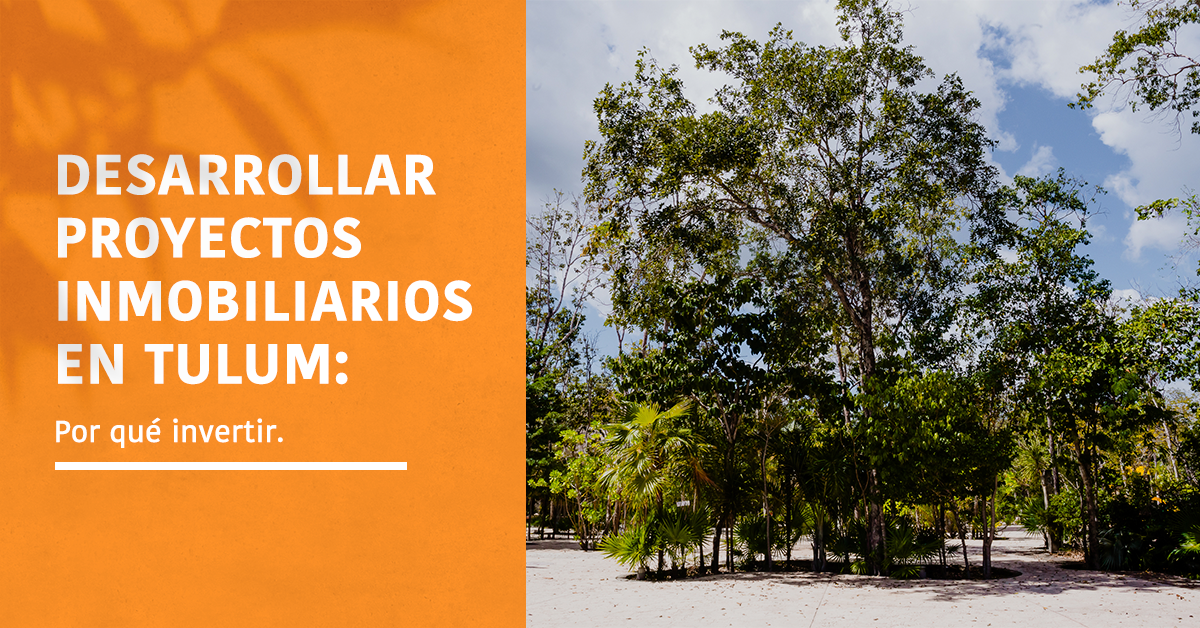 construye en tulum