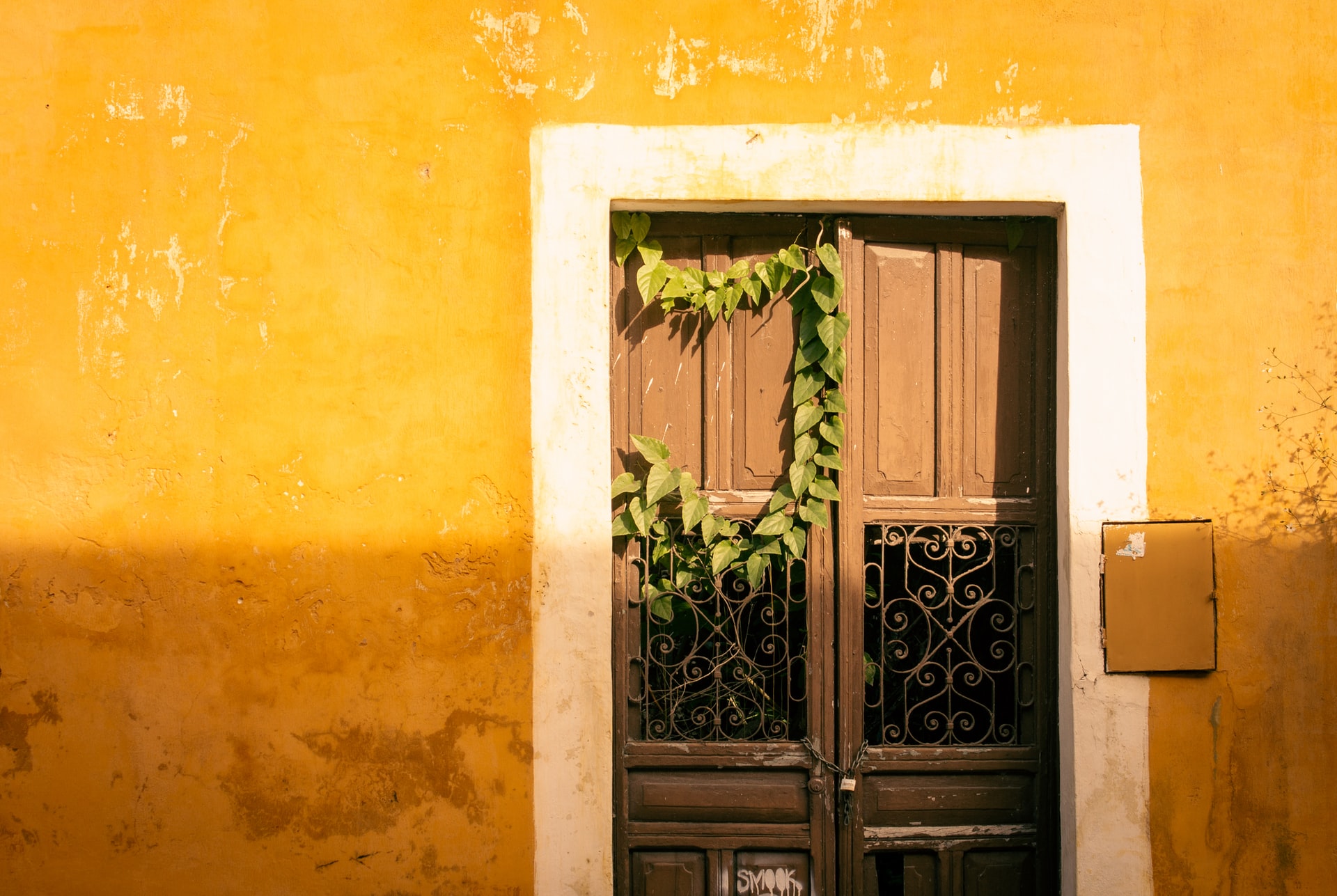 puerta yucatan