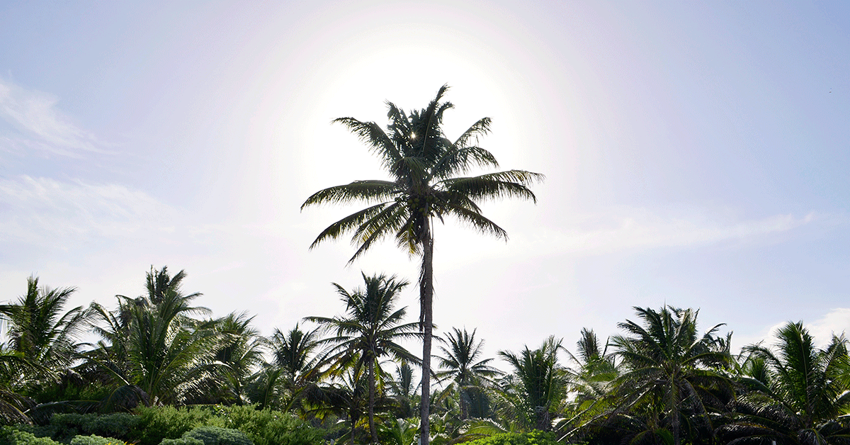 terrenos-en-tulum