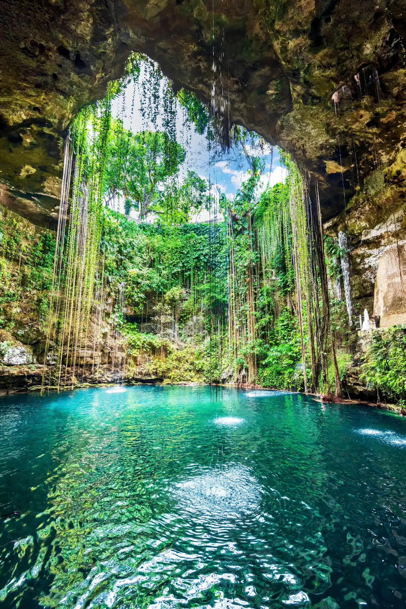 Cenote en Mérida Yucatán